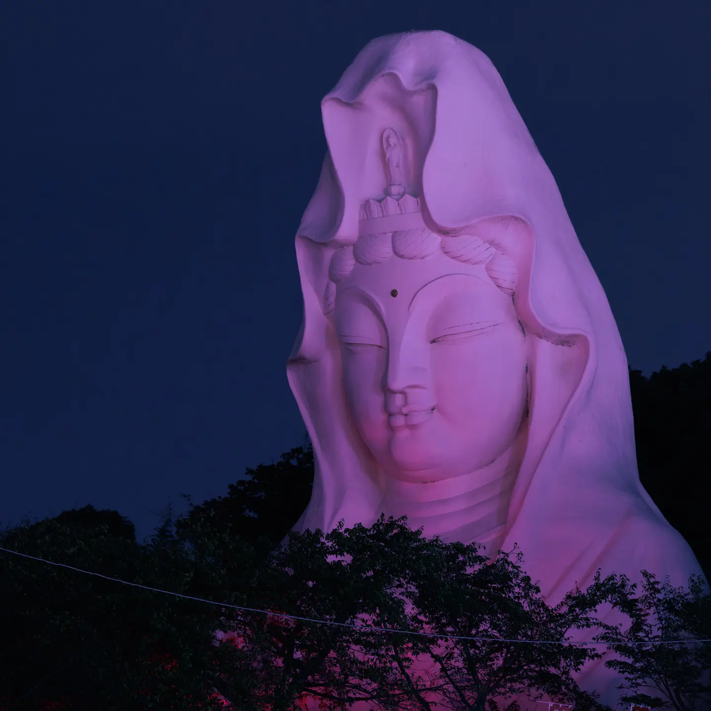 湘南エリア takumi.agnisさんの受賞作品