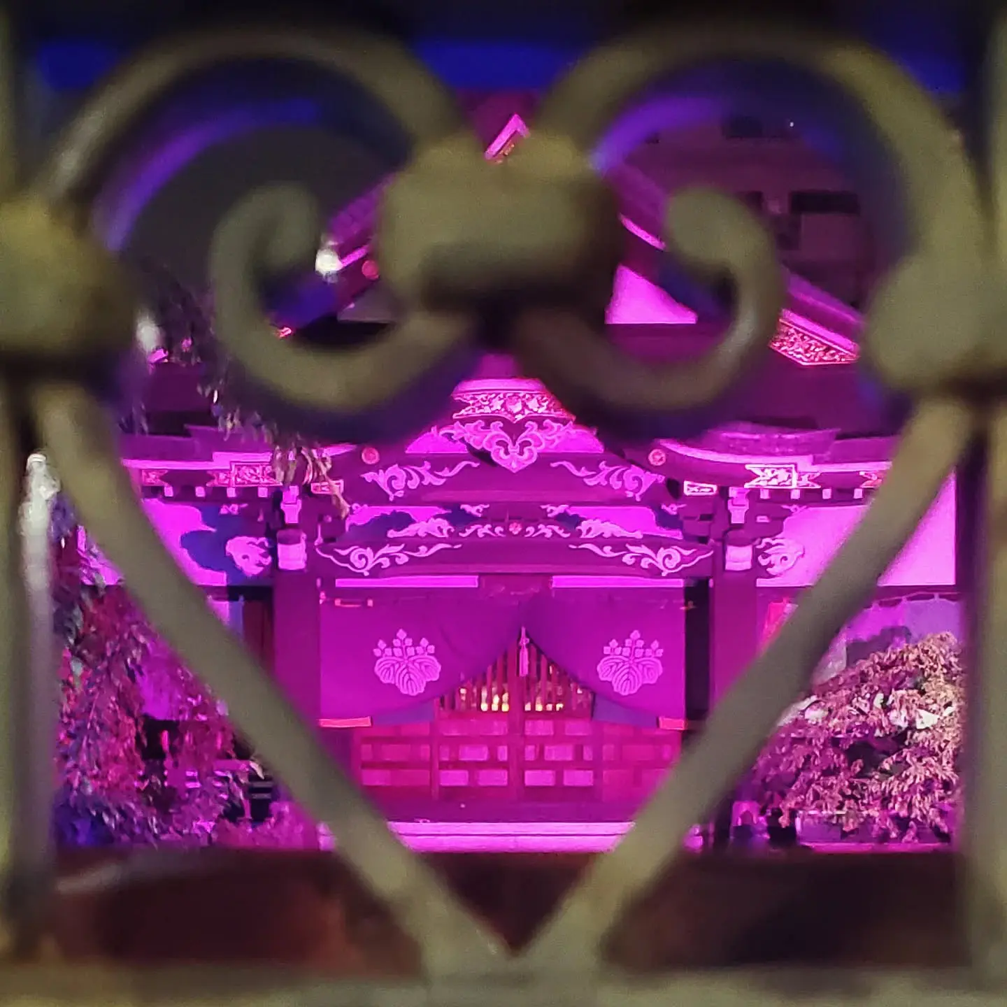 東京エリア pptakaさんの受賞作品